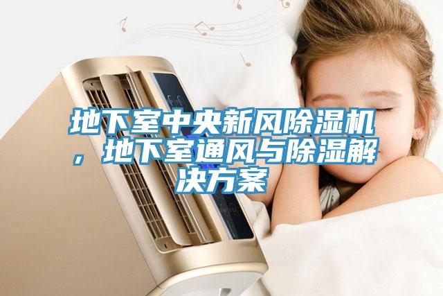 地下室中央新風(fēng)除濕機(jī)，地下室通風(fēng)與除濕解決方案
