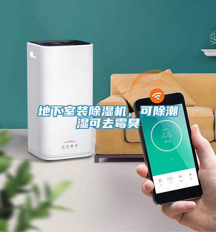 地下室裝除濕機，可除潮濕可去霉臭
