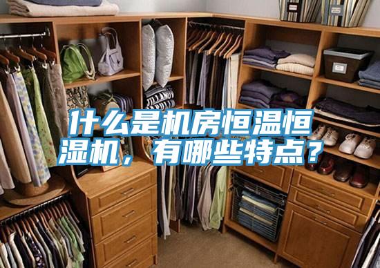 什么是機房恒溫恒濕機，有哪些特點？