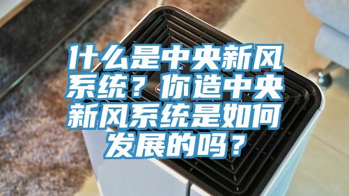 什么是中央新風(fēng)系統(tǒng)？你造中央新風(fēng)系統(tǒng)是如何發(fā)展的嗎？