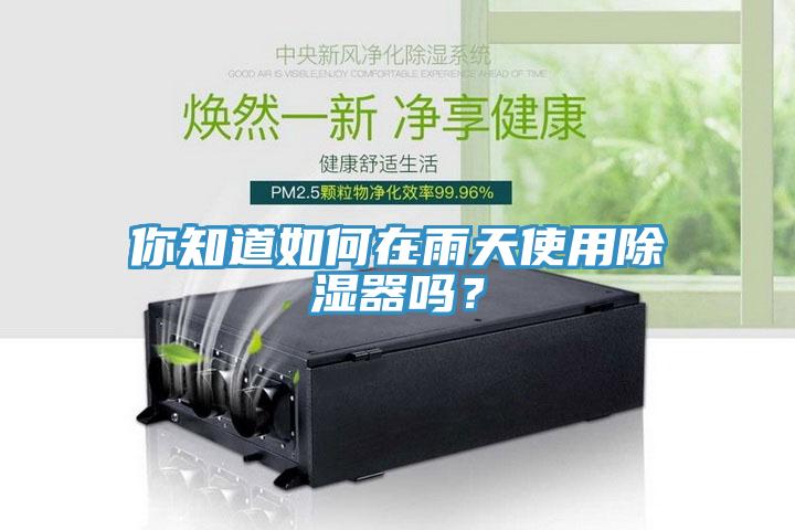 你知道如何在雨天使用除濕器嗎？