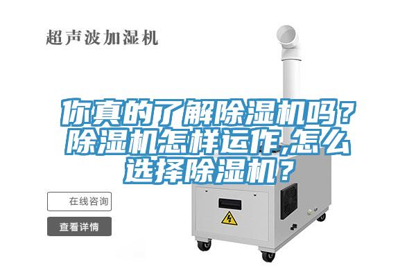 你真的了解除濕機(jī)嗎？除濕機(jī)怎樣運(yùn)作,怎么選擇除濕機(jī)？