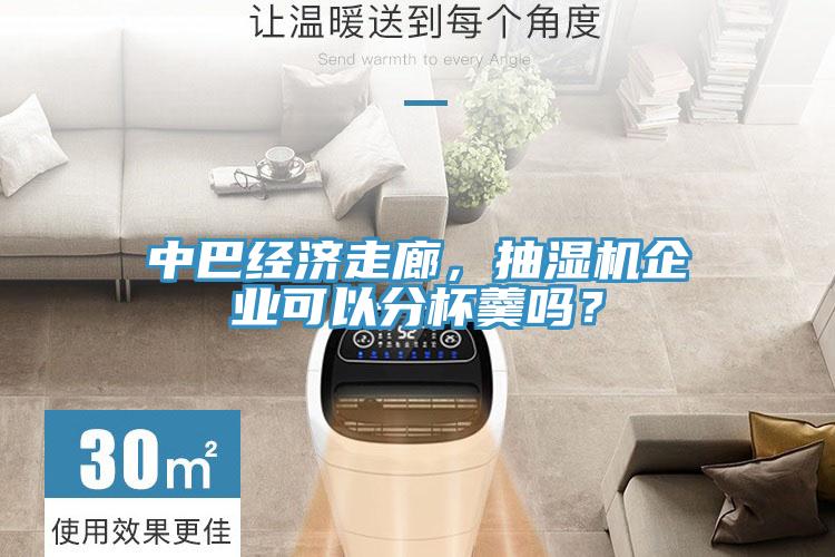 中巴經(jīng)濟走廊，抽濕機企業(yè)可以分杯羹嗎？