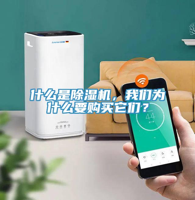 什么是除濕機(jī)，我們?yōu)槭裁匆徺I它們？