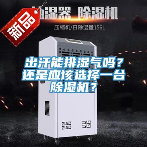 出汗能排濕氣嗎？還是應該選擇一臺除濕機？