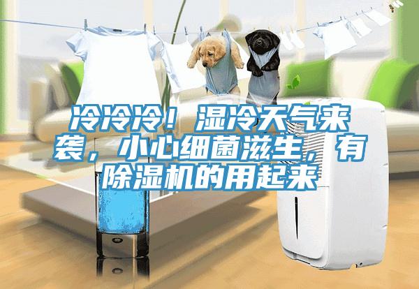冷冷冷！濕冷天氣來(lái)襲，小心細(xì)菌滋生，有除濕機(jī)的用起來(lái)