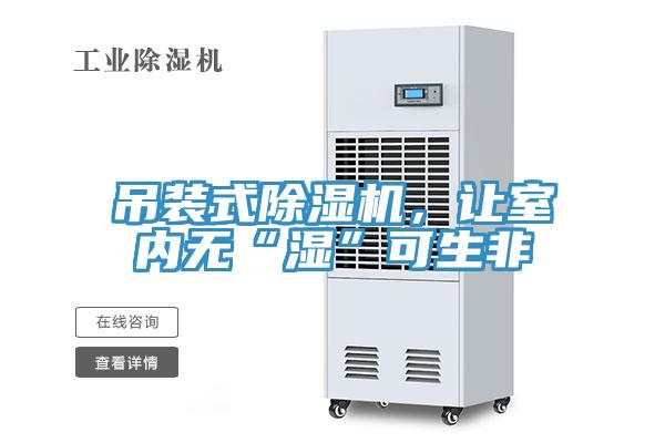 吊裝式除濕機，讓室內(nèi)無“濕”可生非