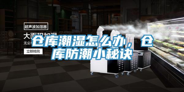 倉庫潮濕怎么辦，倉庫防潮小秘訣