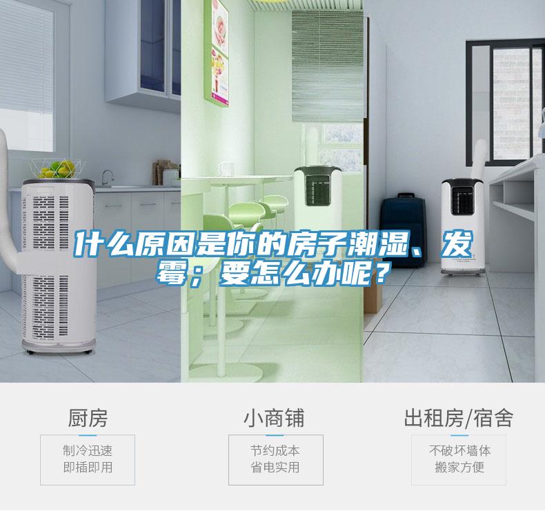 什么原因是你的房子潮濕、發(fā)霉；要怎么辦呢？