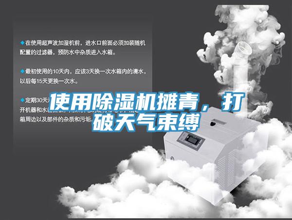使用除濕機(jī)攤青，打破天氣束縛