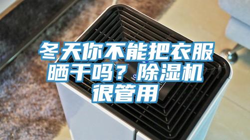 冬天你不能把衣服曬干嗎？除濕機(jī)很管用