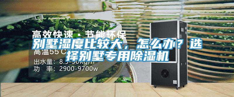 別墅濕度比較大，怎么辦？選擇別墅專用除濕機