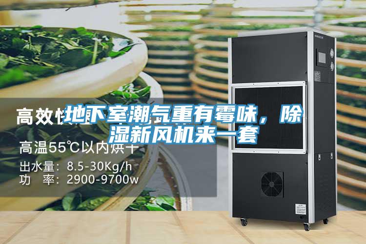 地下室潮氣重有霉味，除濕新風(fēng)機(jī)來一套
