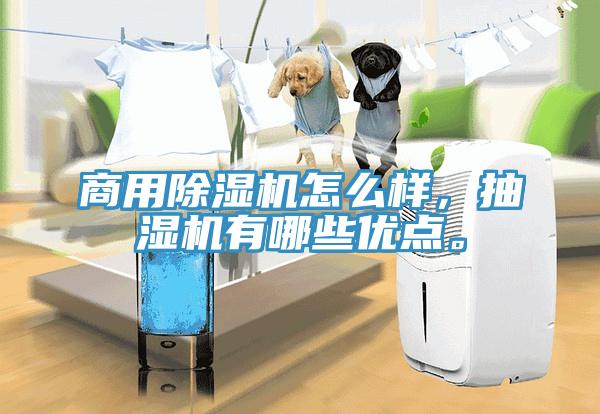 商用除濕機怎么樣，抽濕機有哪些優(yōu)點。