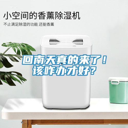 回南天真的來了！該咋辦才好？