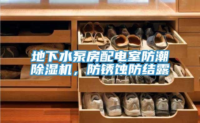 地下水泵房配電室防潮除濕機，防銹蝕防結(jié)露