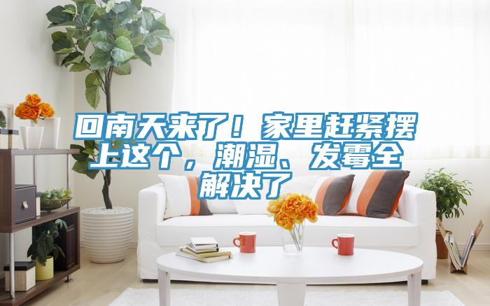 回南天來(lái)了！家里趕緊擺上這個(gè)，潮濕、發(fā)霉全解決了