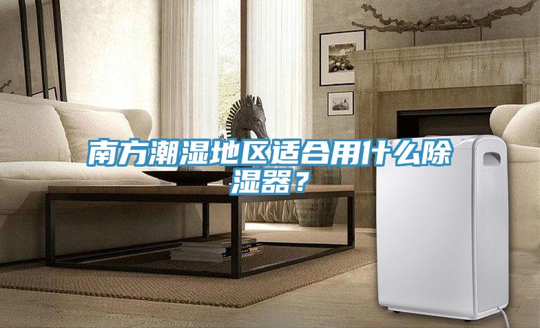 南方潮濕地區(qū)適合用什么除濕器?