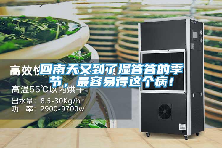 回南天又到了濕答答的季節(jié)，最容易得這個(gè)?。?></div>
								<div   id=