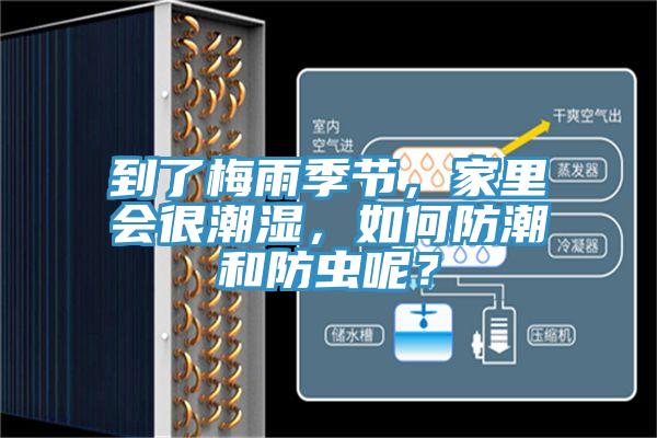 到了梅雨季節(jié)，家里會(huì)很潮濕，如何防潮和防蟲呢？