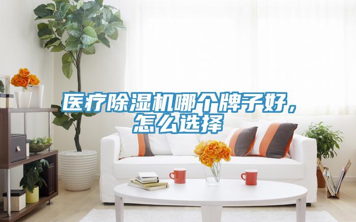 醫(yī)療除濕機哪個牌子好，怎么選擇