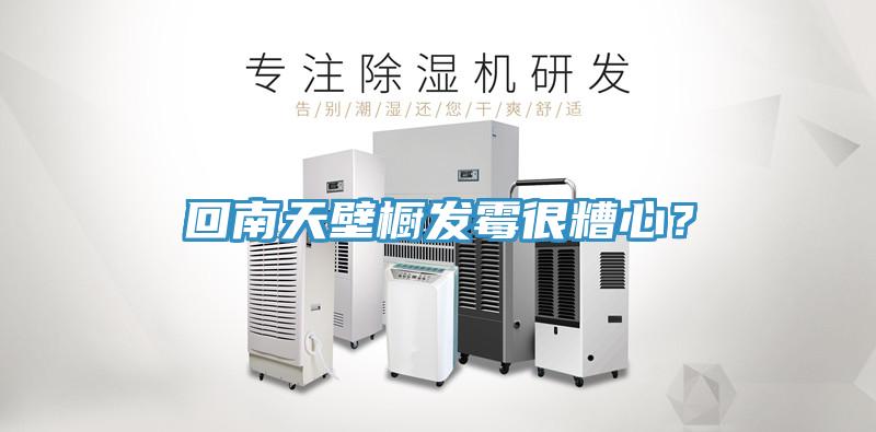 回南天壁櫥發(fā)霉很糟心？