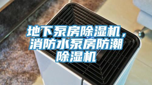 地下泵房除濕機，消防水泵房防潮除濕機