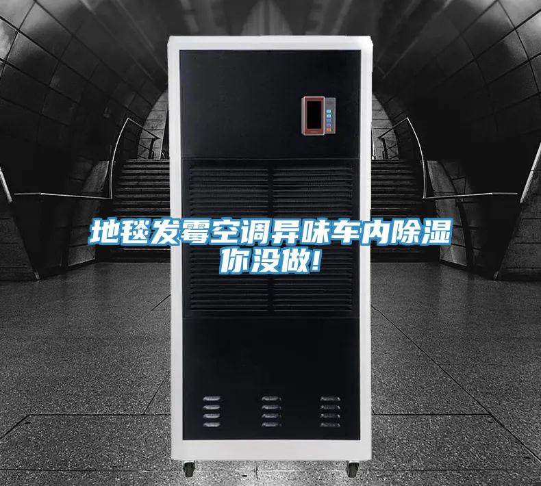 地毯發(fā)霉空調異味車內除濕你沒做!