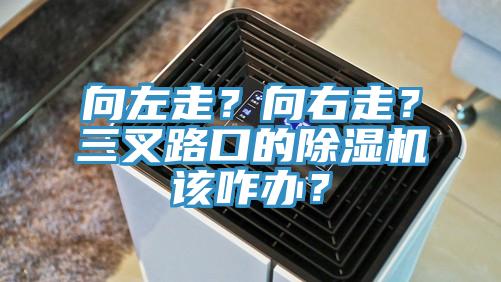 向左走？向右走？三叉路口的除濕機該咋辦？
