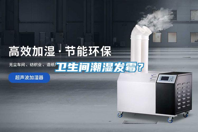衛(wèi)生間潮濕發(fā)霉？