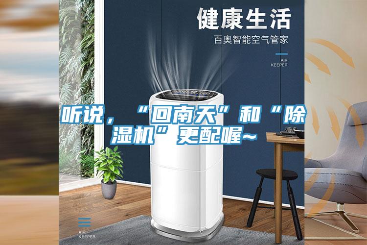 聽說，“回南天”和“除濕機(jī)”更配喔~
