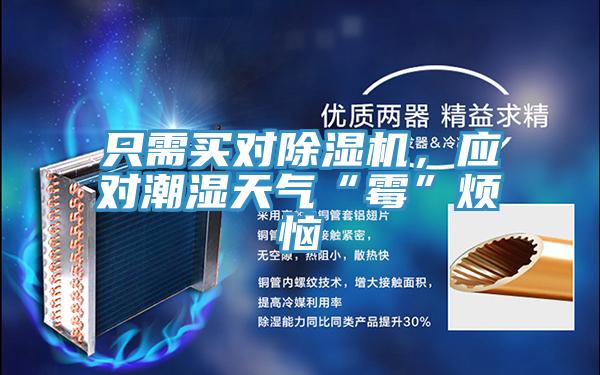 只需買對(duì)除濕機(jī)，應(yīng)對(duì)潮濕天氣“霉”煩惱