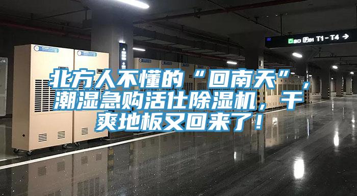 北方人不懂的“回南天”，潮濕急購(gòu)活仕除濕機(jī)，干爽地板又回來(lái)了！