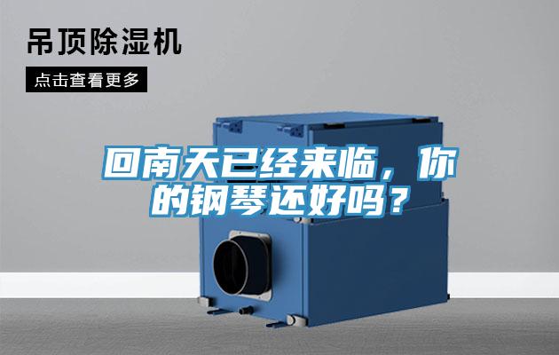 回南天已經(jīng)來臨，你的鋼琴還好嗎？