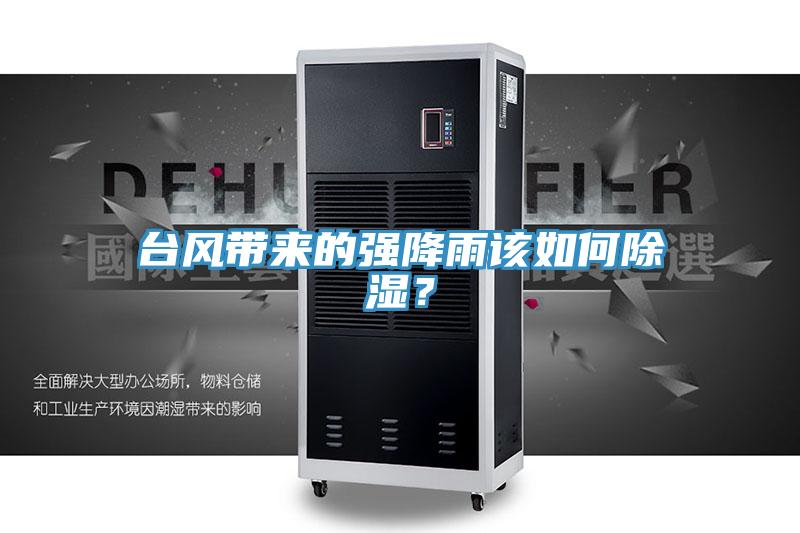 臺風(fēng)帶來的強(qiáng)降雨該如何除濕？