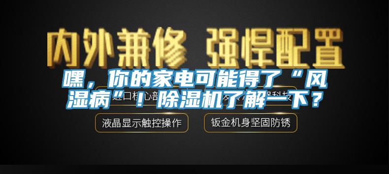 嘿，你的家電可能得了“風濕病”！除濕機了解一下？