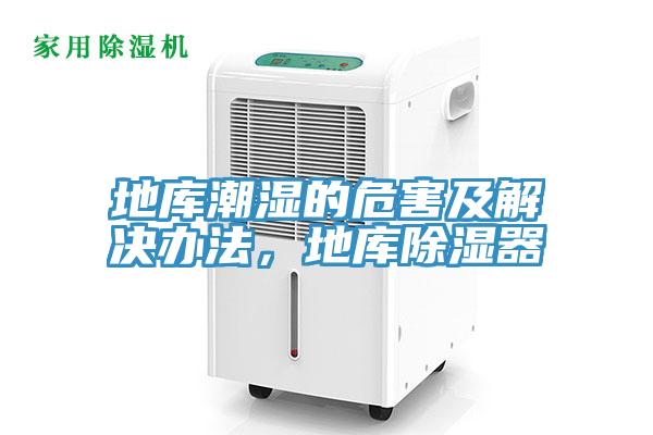 地庫(kù)潮濕的危害及解決辦法，地庫(kù)除濕器