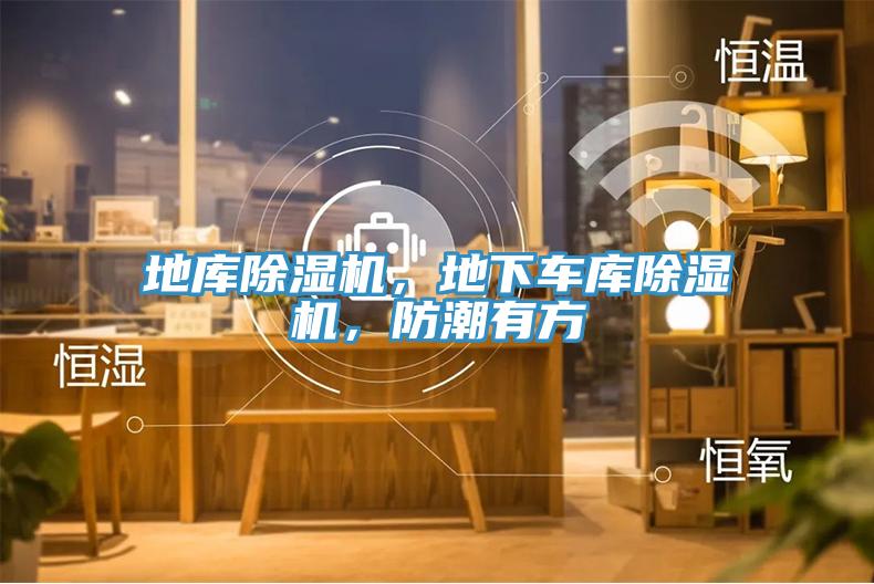 地庫除濕機，地下車庫除濕機，防潮有方