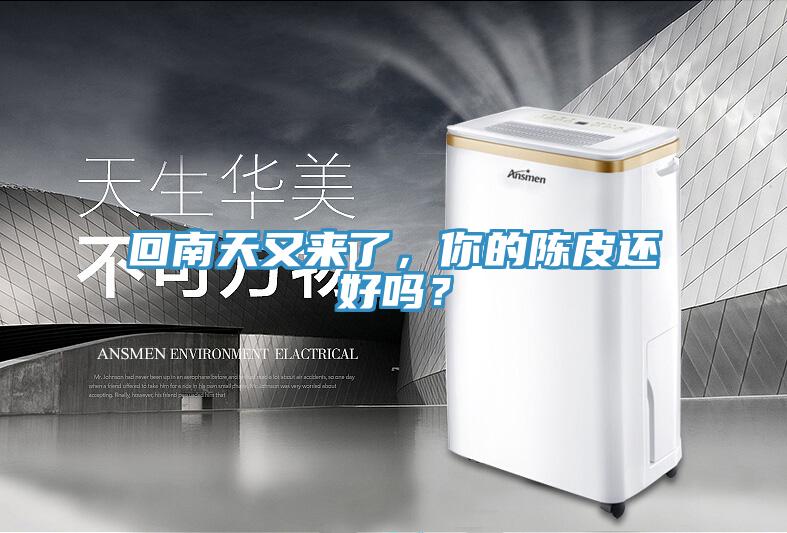 回南天又來了，你的陳皮還好嗎？
