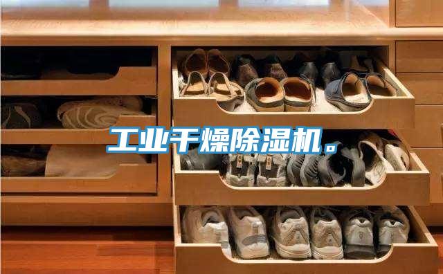 工業(yè)干燥除濕機。