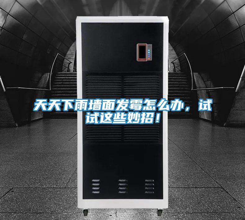 天天下雨墻面發(fā)霉怎么辦，試試這些妙招！