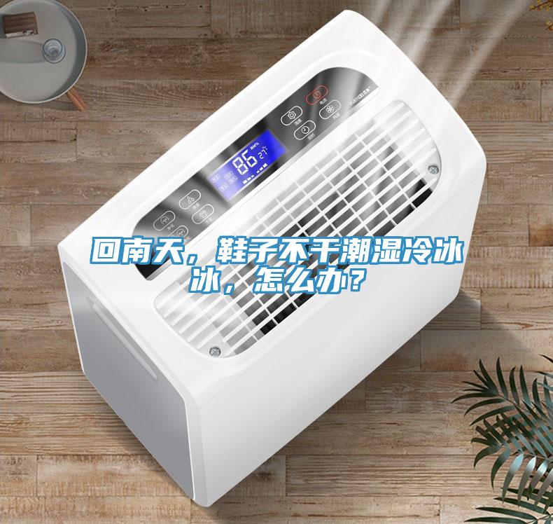 回南天，鞋子不干潮濕冷冰冰，怎么辦？