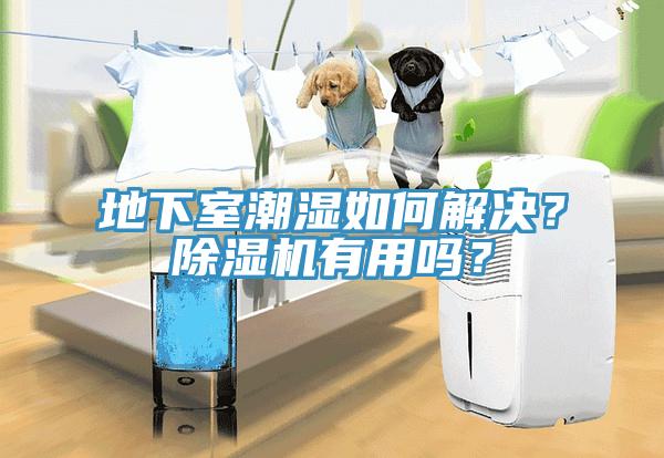 地下室潮濕如何解決？除濕機有用嗎？
