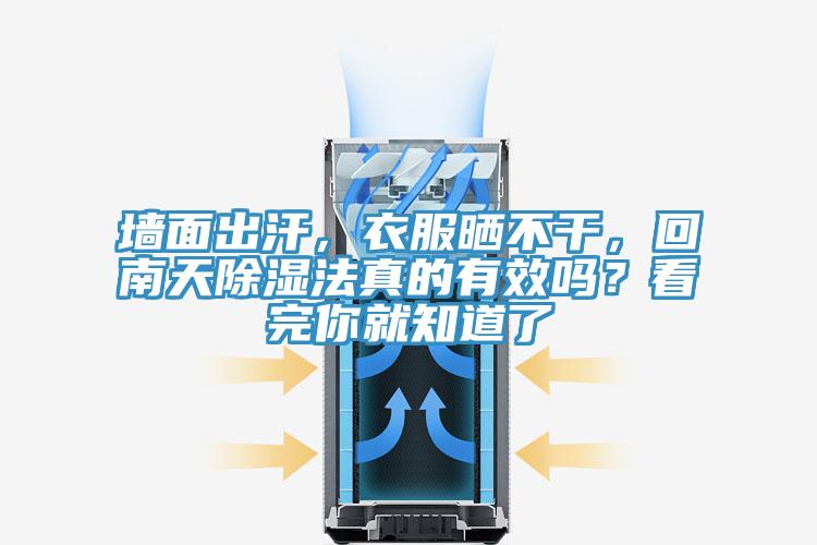 墻面出汗，衣服曬不干，回南天除濕法真的有效嗎？看完你就知道了