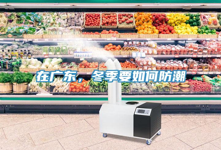 在廣東，冬季要如何防潮