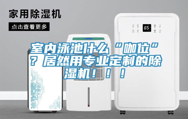 室內(nèi)泳池什么“咖位”？居然用專業(yè)定制的除濕機(jī)?。?！