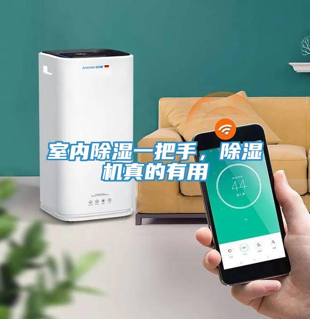 室內(nèi)除濕一把手，除濕機(jī)真的有用