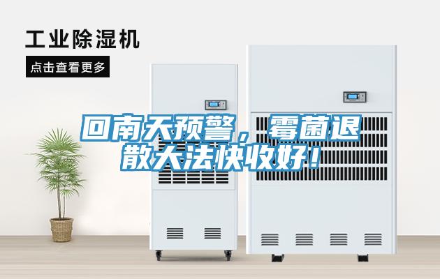 回南天預(yù)警，霉菌退散大法快收好！