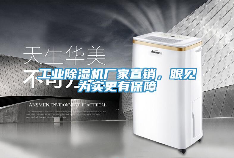工業(yè)除濕機廠家直銷，眼見為實更有保障
