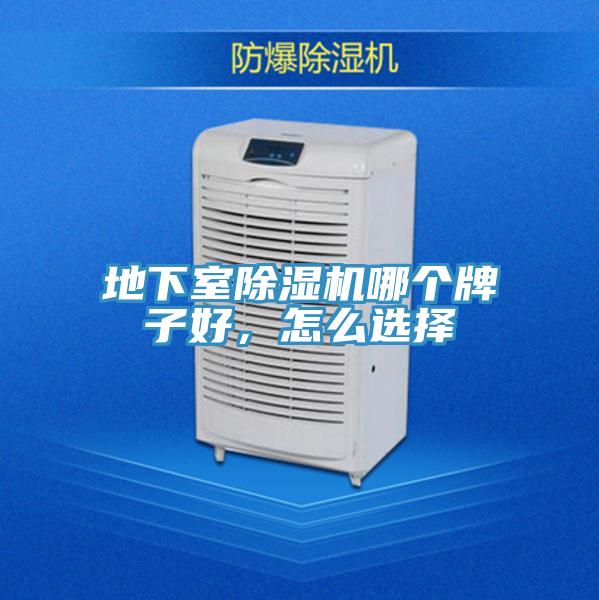 地下室除濕機哪個牌子好，怎么選擇
